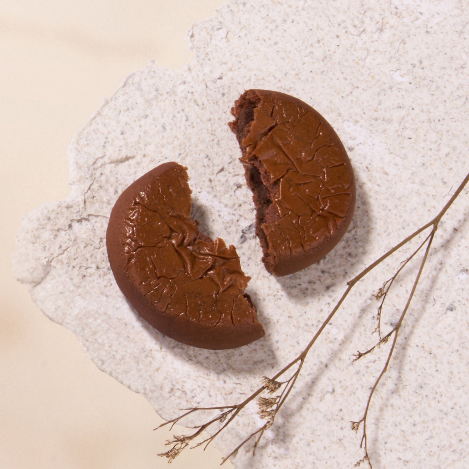 A round chocolate cookie, broken in half on a light surface beside a dried twig, is an elegant treat featured in the Bokksu Snack Box: Seasons of Japan.